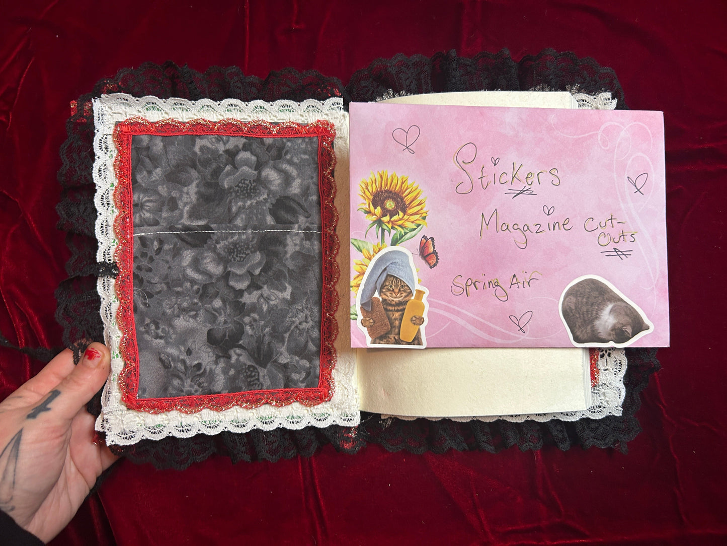 Insanity journals